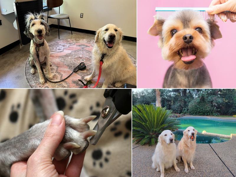 Just groom it by Leah