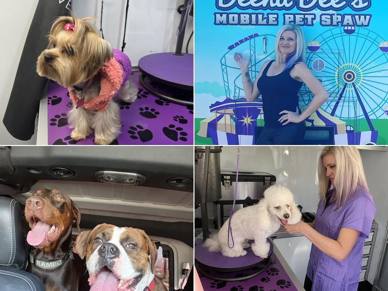 Deena Dee's Mobile Pet Spaw, LLC