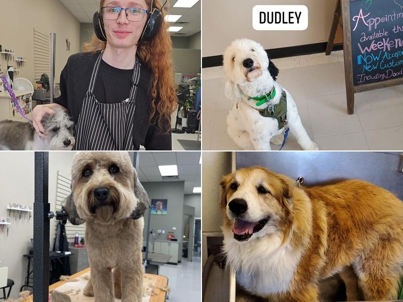 Pups on the Poudre Grooming