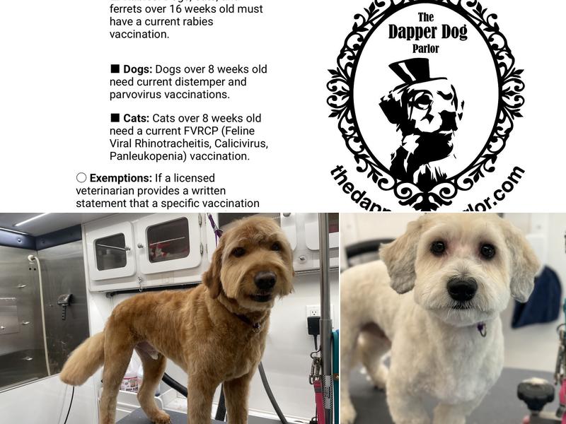 The Dapper Dog Parlor