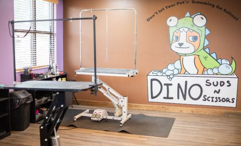 Dino Suds N Scissors (NCG Groomer)