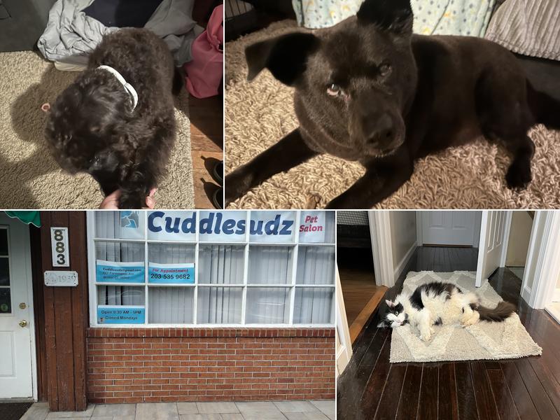 Cuddlesudz Pet Salon