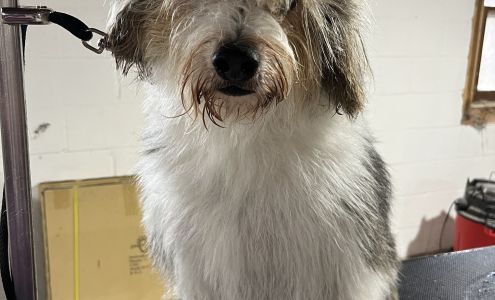 Endless PAWSibilities Luxury Pet Grooming