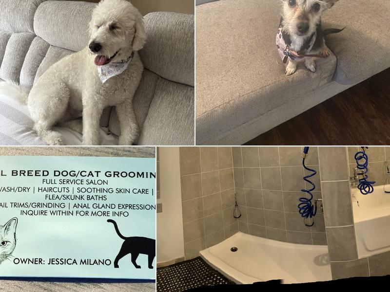 Pet Pals Grooming Salon