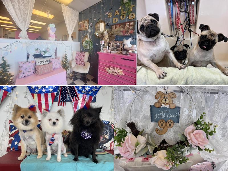 Salty Dog Grooming Salon
