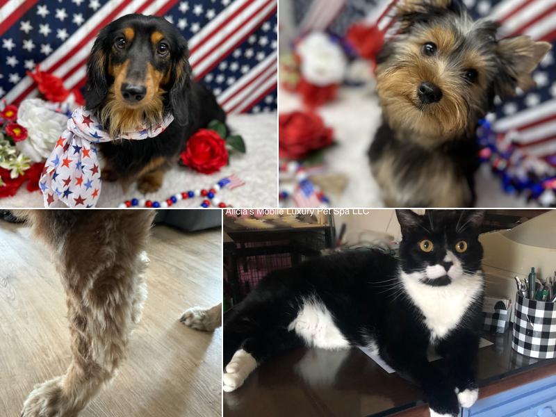 Alicia’s Mobile Luxury Pet Spa LLC