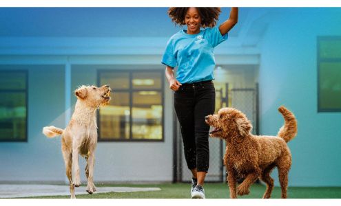 Pet Paradise Lake Nona