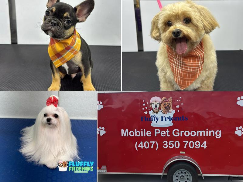 Fluffy Friends Mobile Grooming