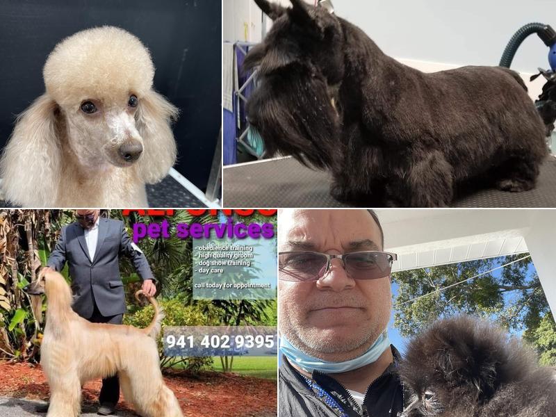 ALFONSO’S DOG MOBILE GROOMING