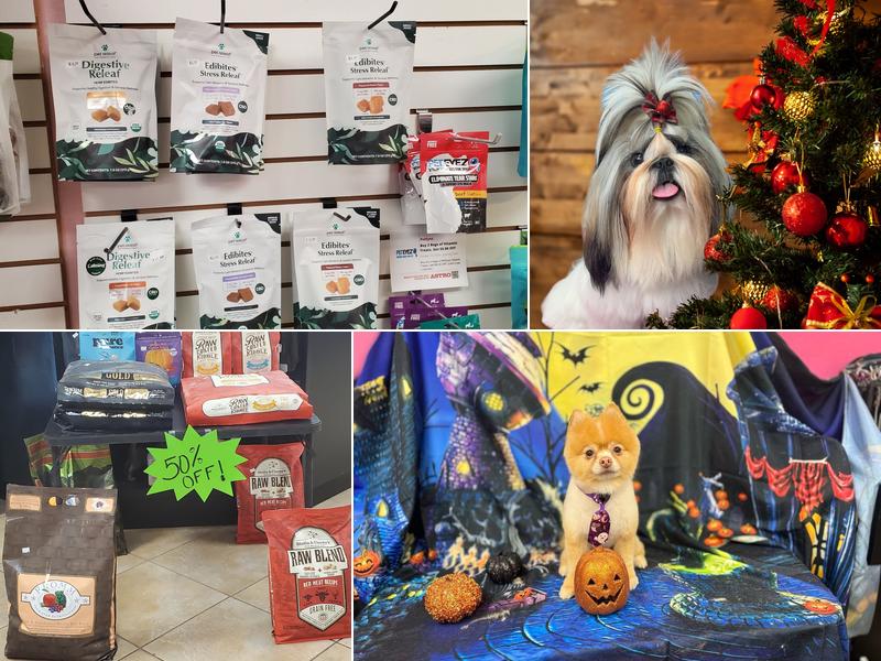 Touch of Class Pet Grooming