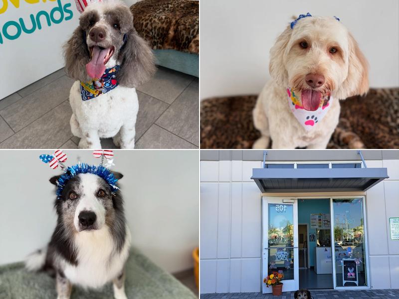 Lovely hounds Pet grooming