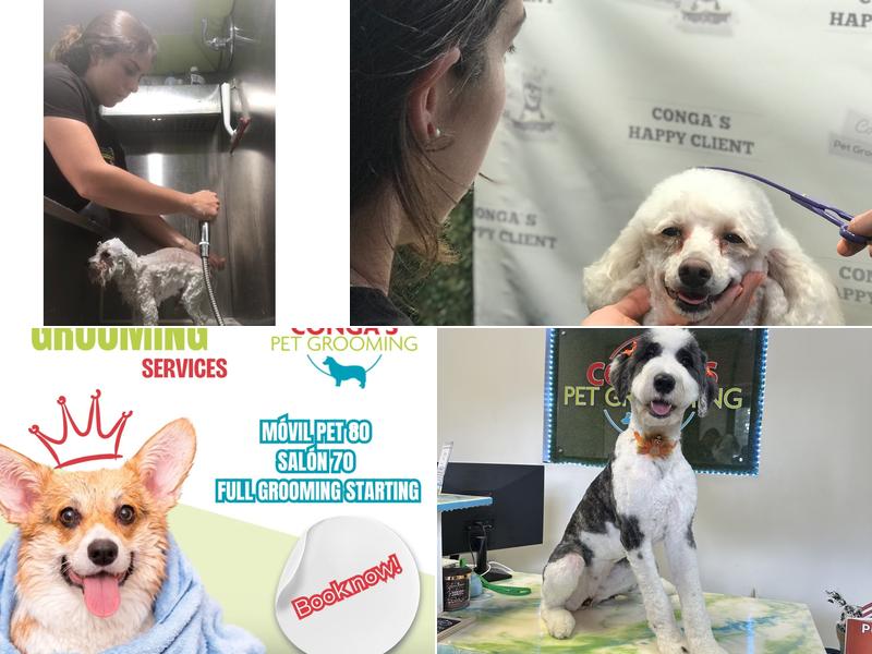 Conga's Pet Grooming