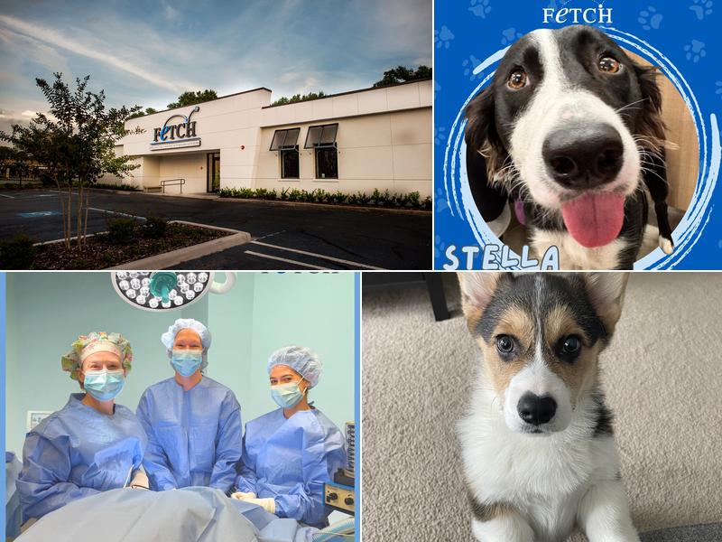 Fetch Specialty & Emergency Veterinary Centers