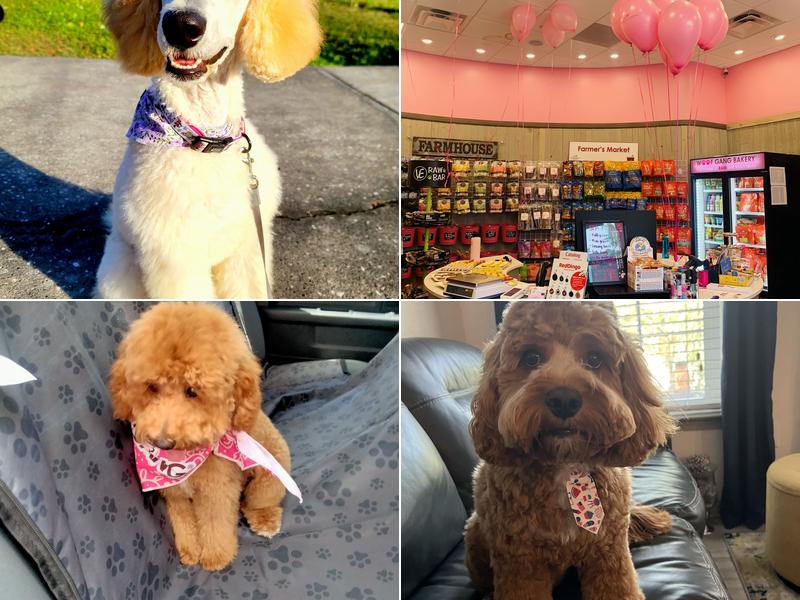 Woof Gang Bakery & Grooming Westchase