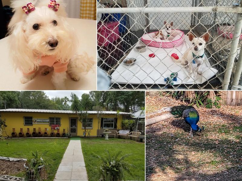 Groomingdales Bed & Biscuit