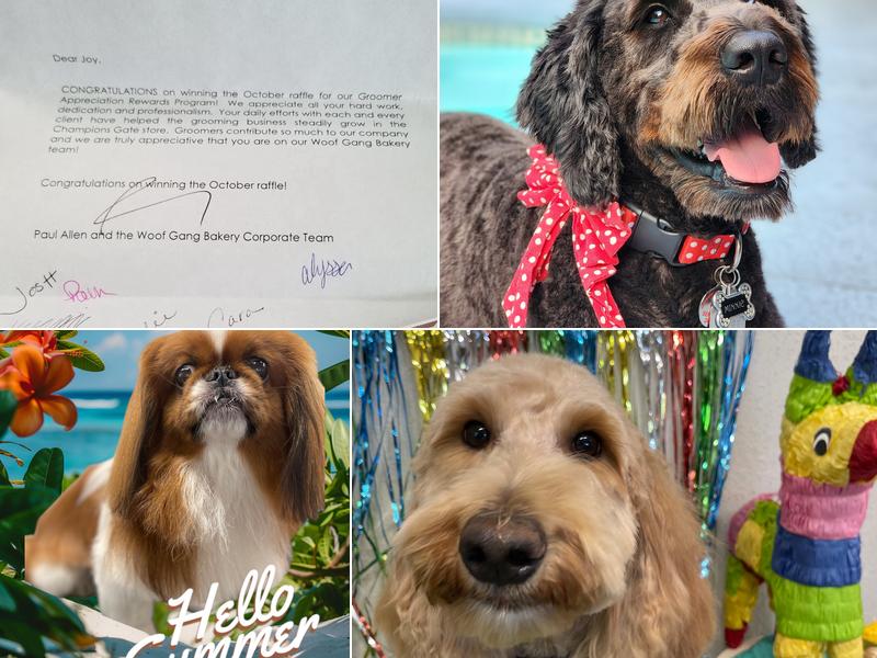 Joys of Grooming 23 years experience