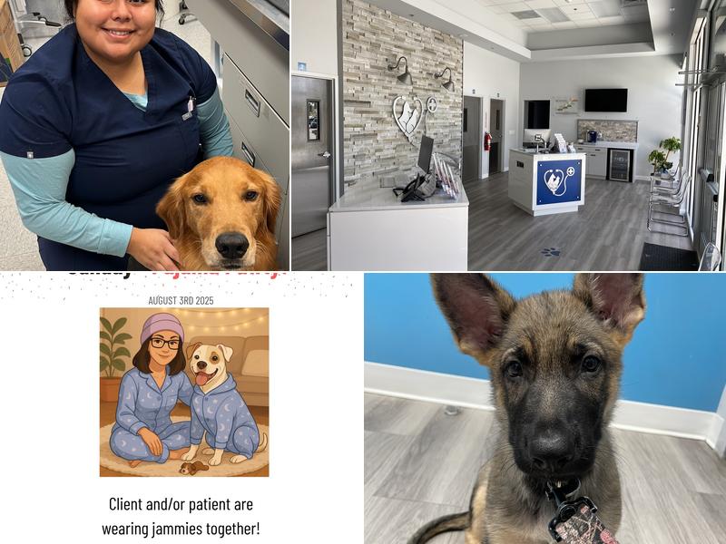 Forever Vets Animal Hospital – Bartram Market