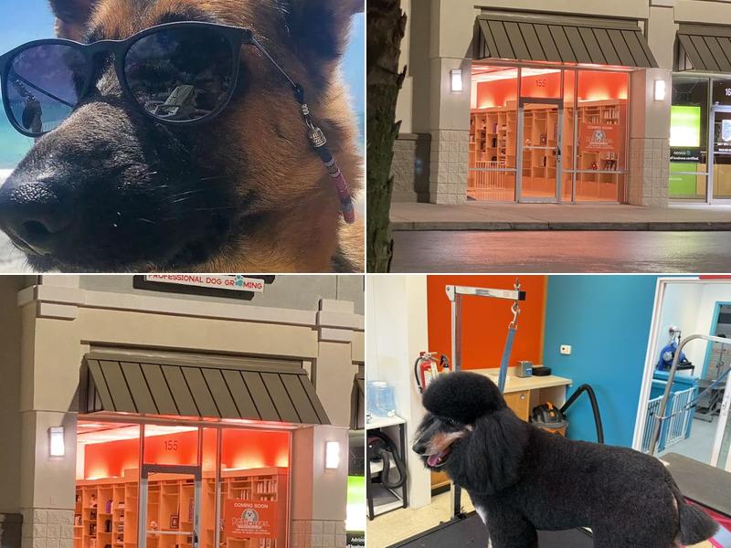 PETicures Professional Dog Grooming