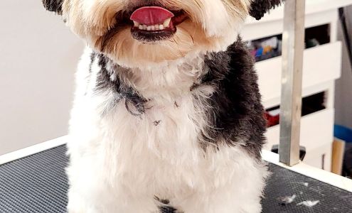 Southpaw Spa 2114 Drew St Unit E, Clearwater Florida 33765