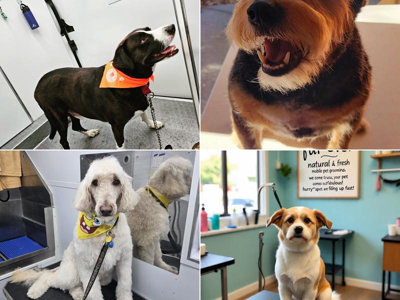 Fur Ever Natural & Fresh Mobile Pet Grooming