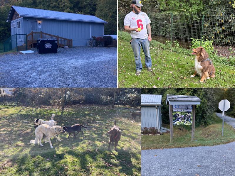 K-9 Meadows Boarding and Spa