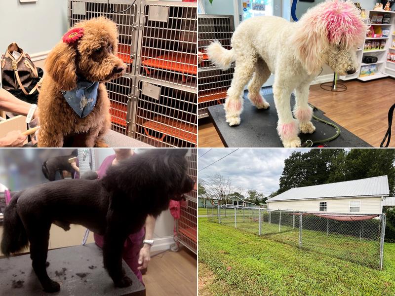 Puppy Le Pew Pet Grooming & Boarding