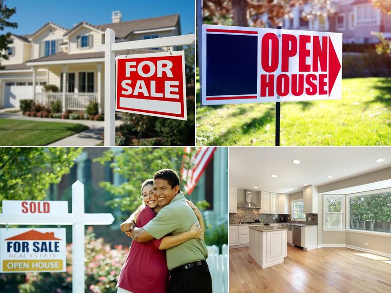 Betsy Pellitteri Realtor