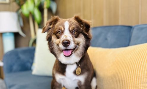 Kauai Pet Boarding & Grooming 4461 Omao Rd, Koloa Hawaii 96756