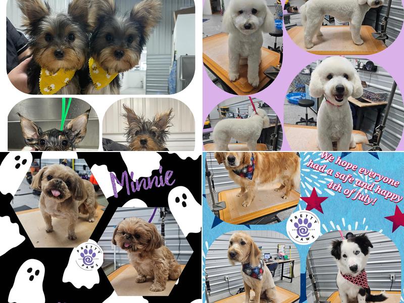 Pretty Paws Grooming Salon
