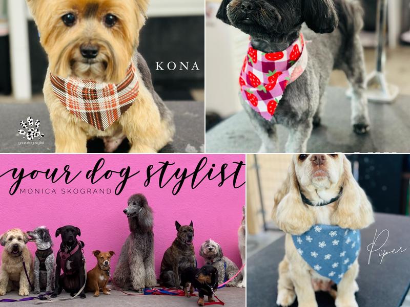 Your Dog Stylist- Monica Skogrand