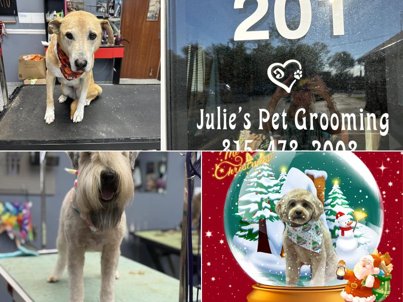 Julie's Pet Grooming