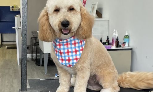 Cary-Grove Grooming 280 Cary Algonquin Rd, Trout Valley Illinois 60013