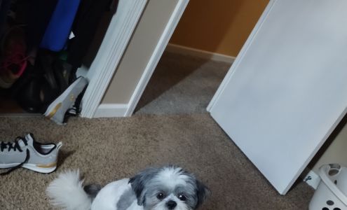 The Farm at Flint Creek 6622 IN-25 S, West Point Indiana 47992