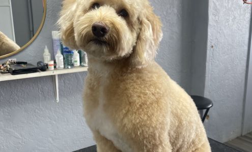 Puppy’s palace 115 Gunsmoke St, Dodge City Kansas 67801