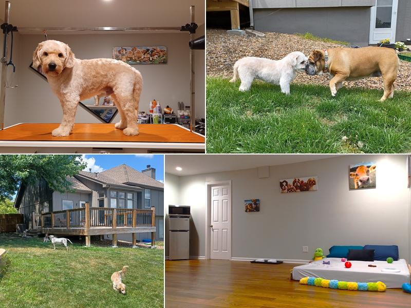 A Trusted Friend Petcare and Grooming