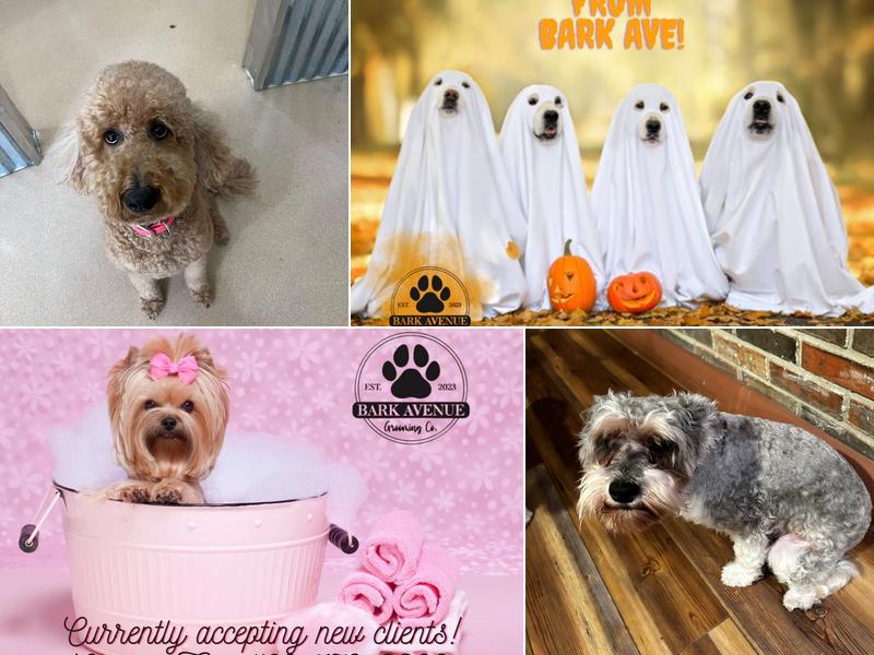 Bark Avenue Grooming Co.
