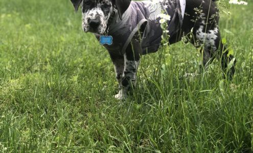 Southern Paradise Pet Supply & Salon