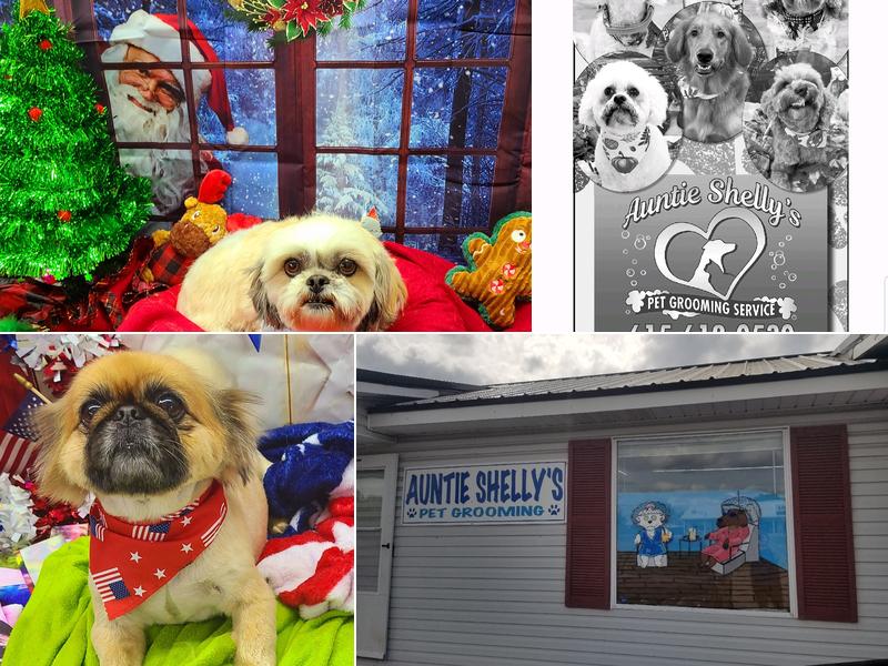 Auntie Shellys Pet Grooming