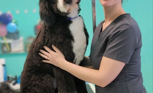 Salon D.O.G. 912 S 27th St, Nederland Texas 77627