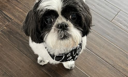 Pleasantly Pampered Grooming