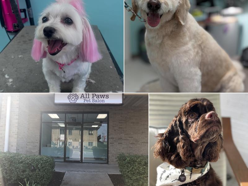 All Paws Pet Salon