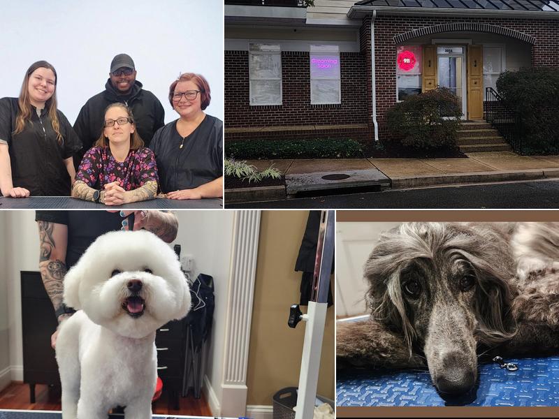 Wesley's Grooming 911