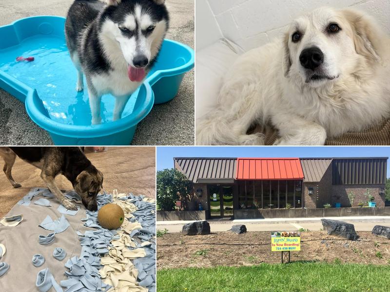 Ruffin' Around Resort & Day Spa