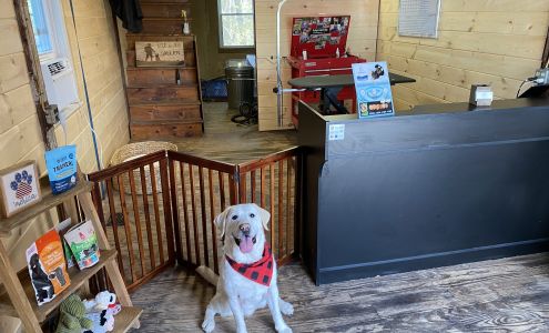 The Peachy Dog Salon LLC 231 West St, Winchendon Massachusetts 01475