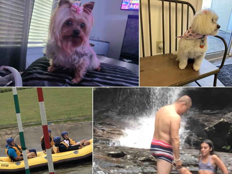 Nonie's Pet Grooming