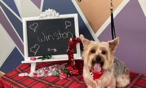 Lori Loves Pets 122 S Main St, Perry Michigan 48872