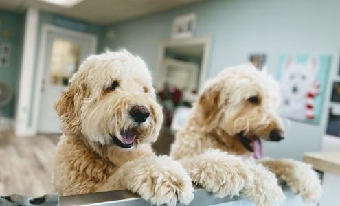 Oo La La Doggie Spa 105 W Michigan Ave, Paw Paw Michigan 49079