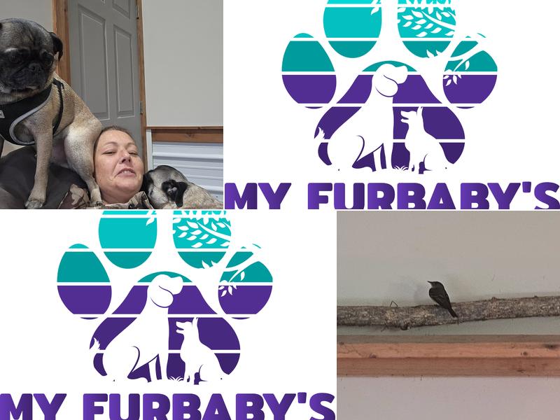 My Furbabys Resort, LLC