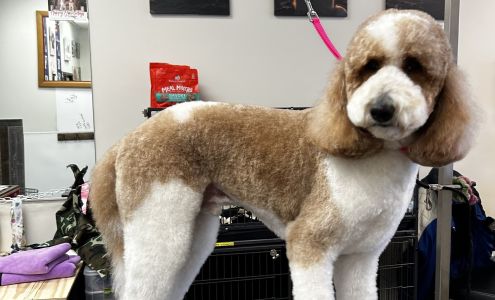 Cali's Pet Grooming Saline