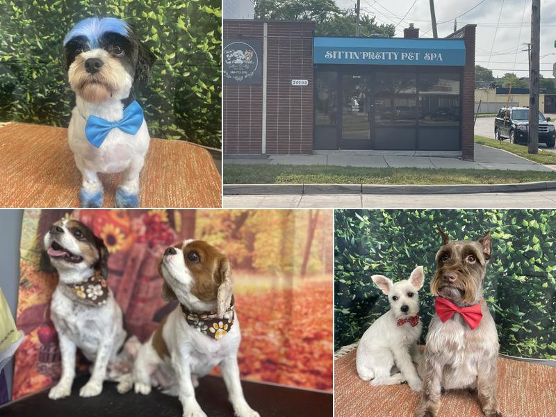 Sittin' Pretty Pet Spa